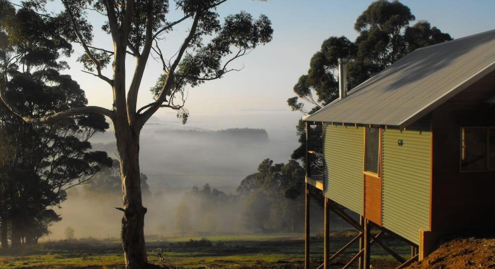 Misty Morning Views