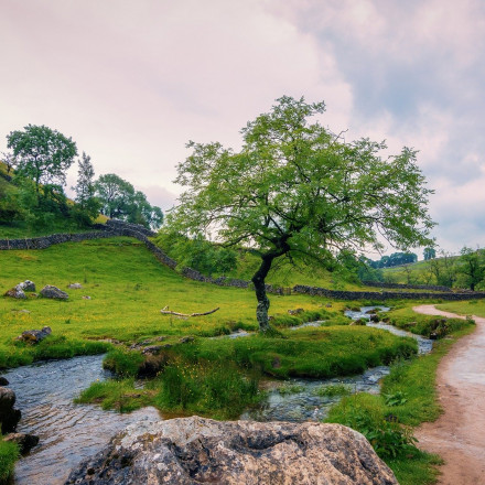 The 18 Best Hotels for The Yorkshire Dales National Park