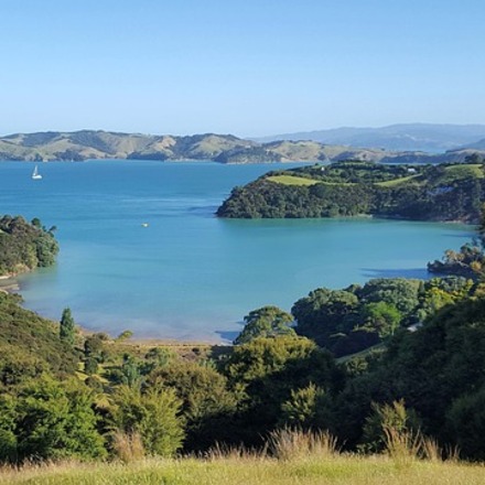 Les 6 meilleurs hôtels à vins de l'île de Waiheke