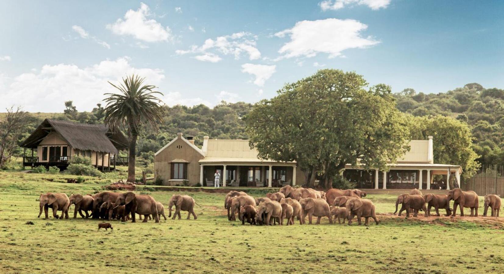 Photo of Gorah Elephant Camp 