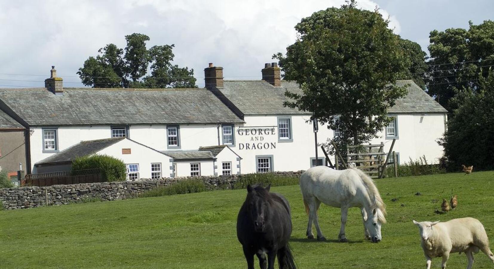 Photo of The George and Dragon