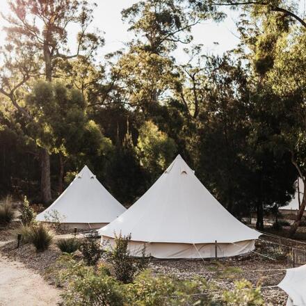 Glamping Tents