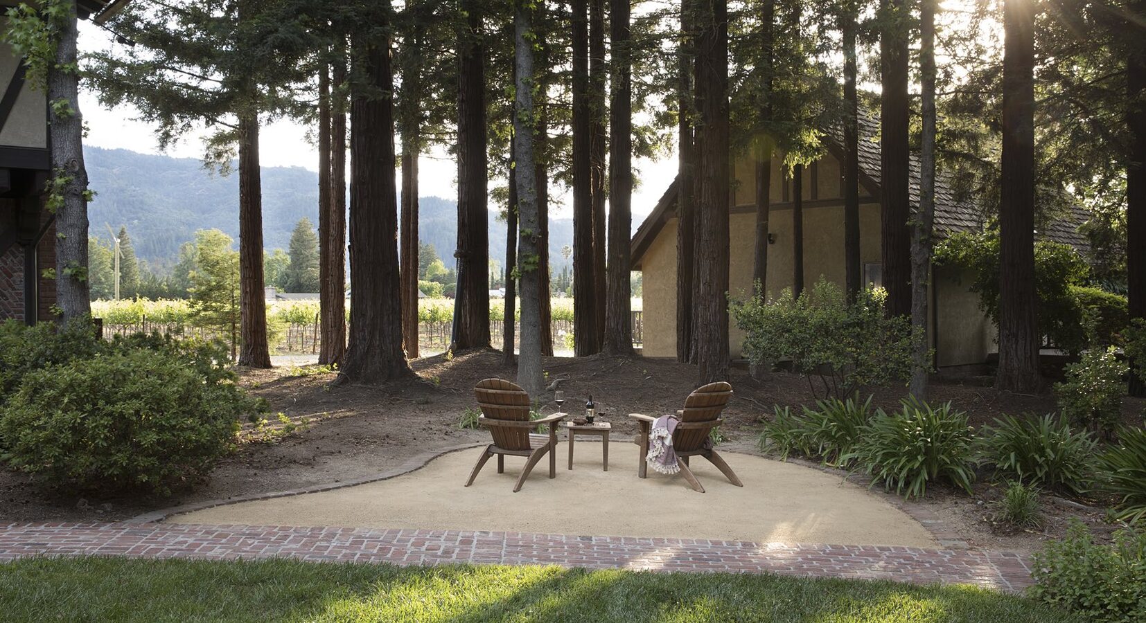 Patio and vineyard views