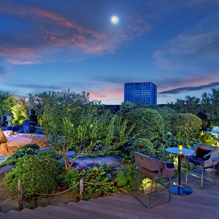 Hotel rooftop garden