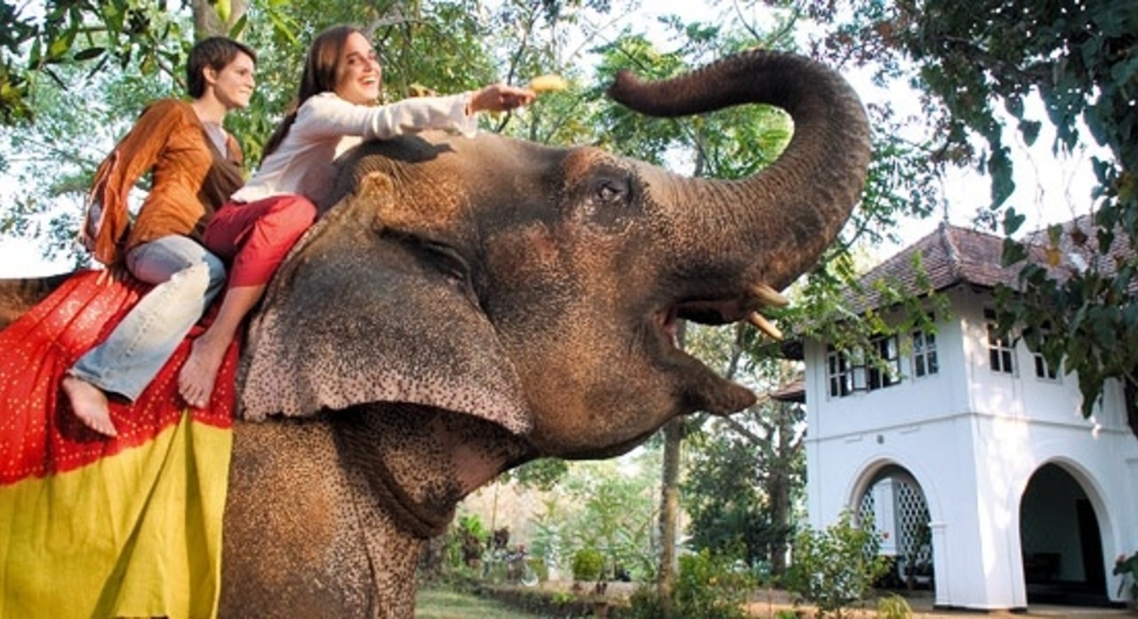 Laxmi the resident elephant