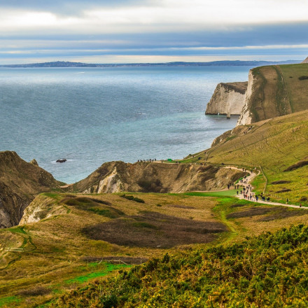 14 of the Best Dog Friendly Hotels in Dorset