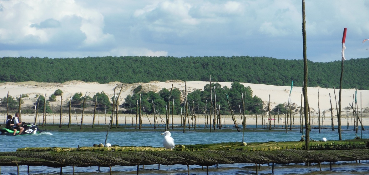 Foto von Arcachon